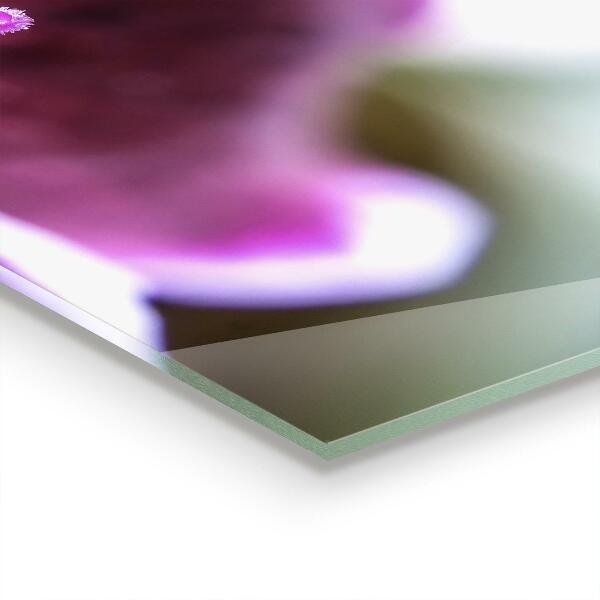 Sticlă bucătărie Floare roz detalii natura