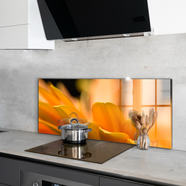 Sticlă bucătărie Floare gerber