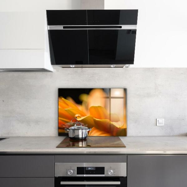 Sticlă bucătărie Floare gerber