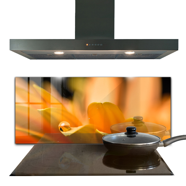 Sticlă bucătărie Floare gerber