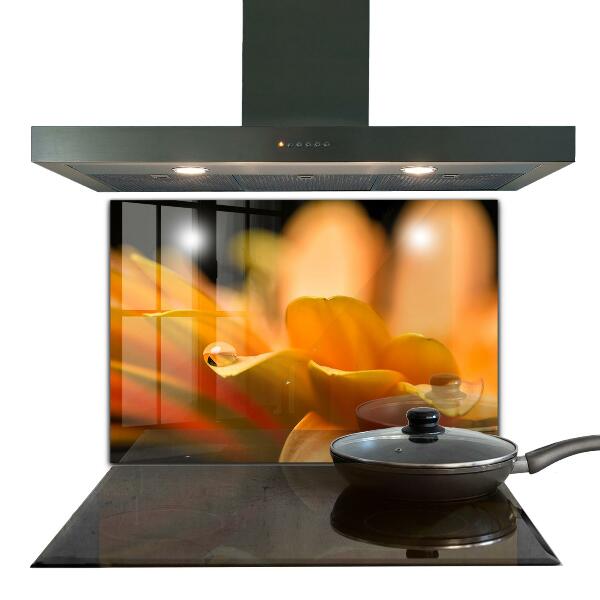 Sticlă bucătărie Floare gerber