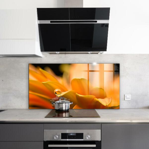 Sticlă bucătărie Floare gerber