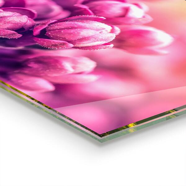 Sticlă bucătărie Crini roz frumusețe naturală