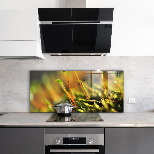 Sticlă bucătărie Detalii de muşchi de pădure