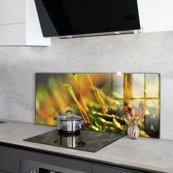 Sticlă bucătărie Detalii de muşchi de pădure
