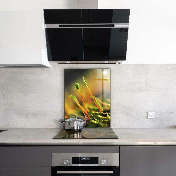 Sticlă bucătărie Detalii de muşchi de pădure