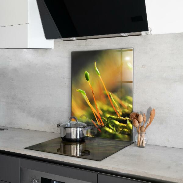 Sticlă bucătărie Detalii de muşchi de pădure