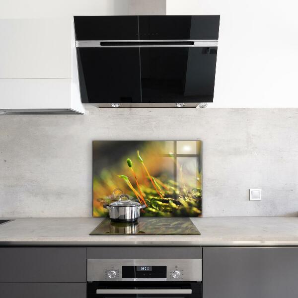 Sticlă bucătărie Detalii de muşchi de pădure