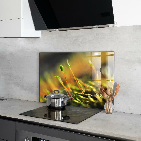 Sticlă bucătărie Detalii de muşchi de pădure