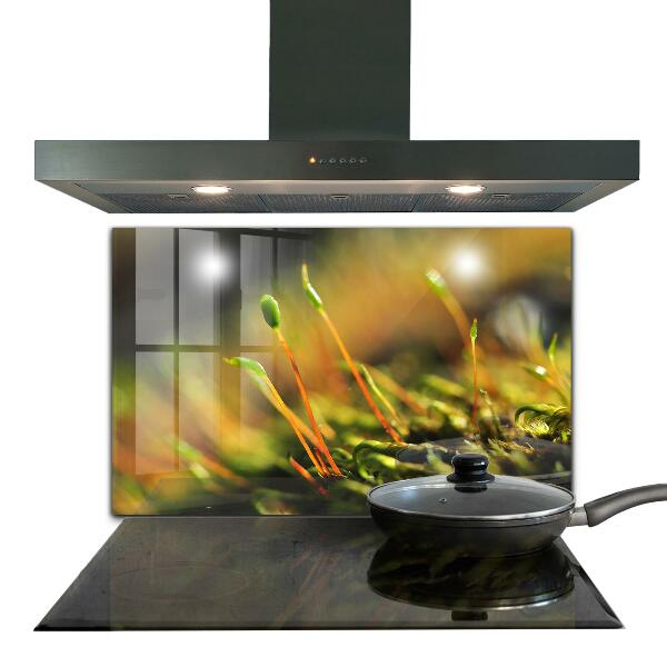 Sticlă bucătărie Detalii de muşchi de pădure