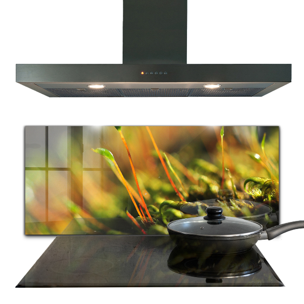 Sticlă bucătărie Detalii de muşchi de pădure