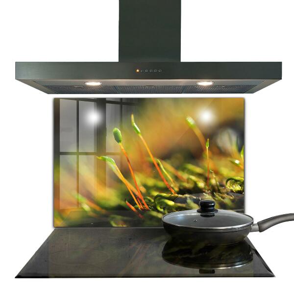 Sticlă bucătărie Detalii de muşchi de pădure