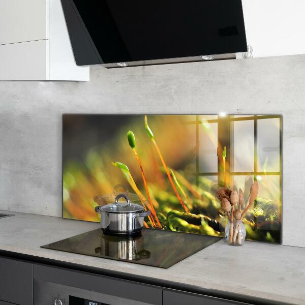 Sticlă bucătărie Detalii de muşchi de pădure