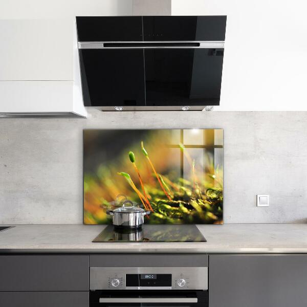 Sticlă bucătărie Detalii de muşchi de pădure