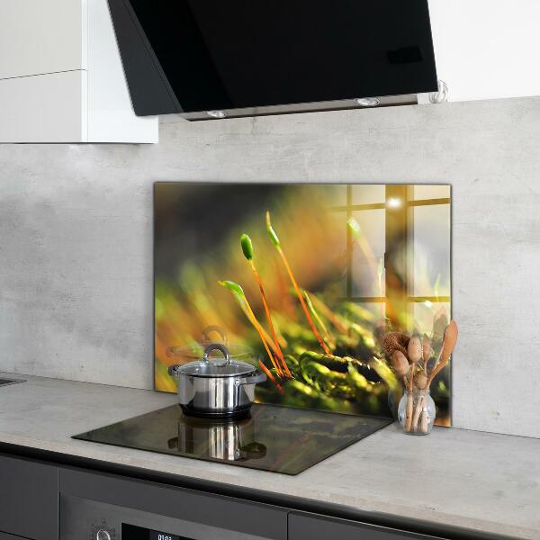 Sticlă bucătărie Detalii de muşchi de pădure