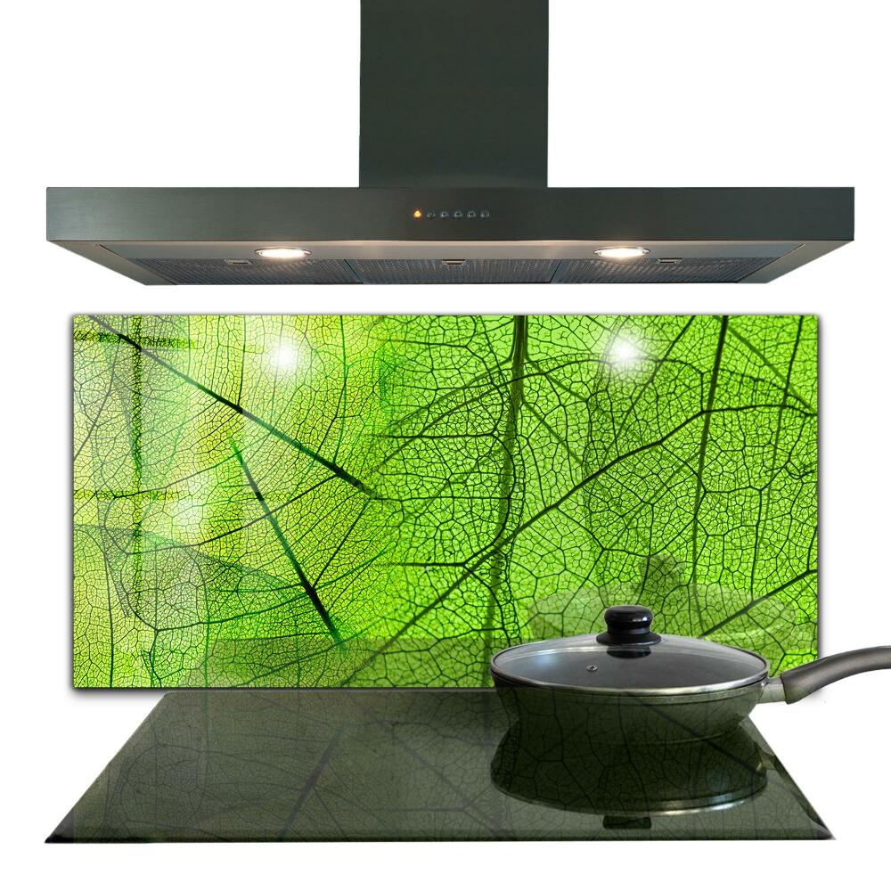 Panou perete bucătărie Textura frunzelor verzi
