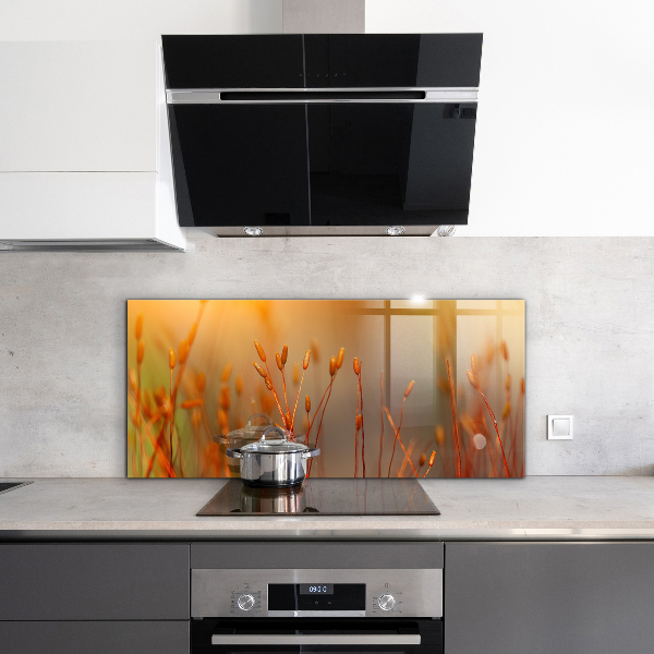 Panou perete bucătărie Câmp de cereale la apus