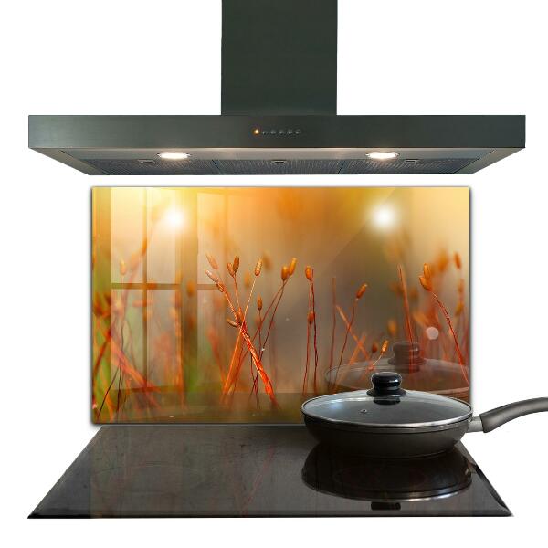 Panou perete bucătărie Câmp de cereale la apus