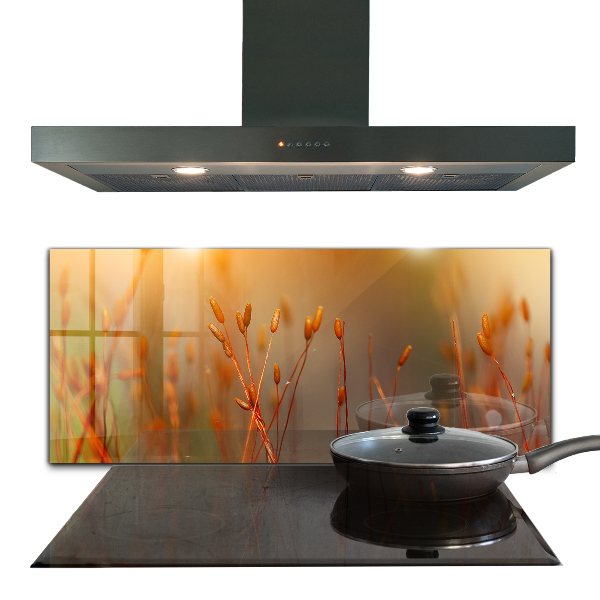 Panou perete bucătărie Câmp de cereale la apus