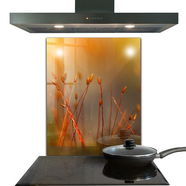 Panou perete bucătărie Câmp de cereale la apus