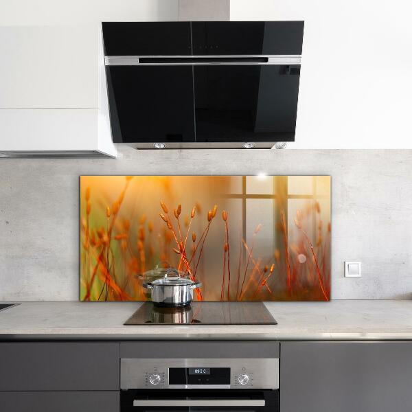 Panou perete bucătărie Câmp de cereale la apus