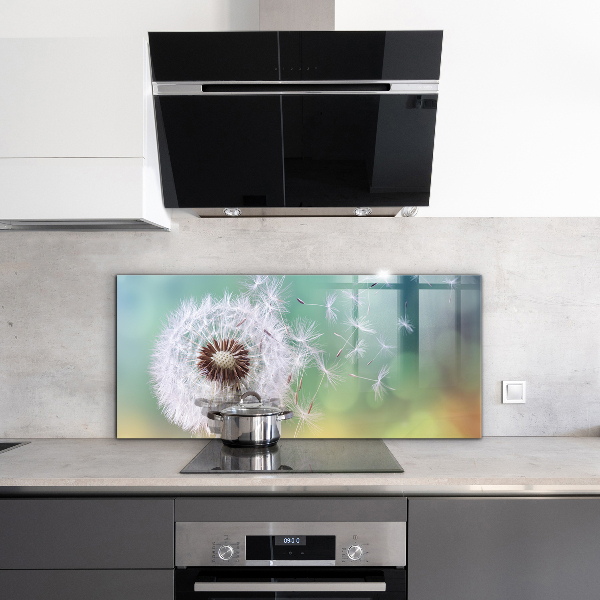 Panou perete bucătărie Păpădie păpădia în vânt