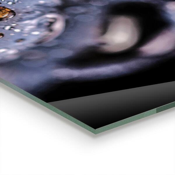 Sticlă bucătărie Afine suculente