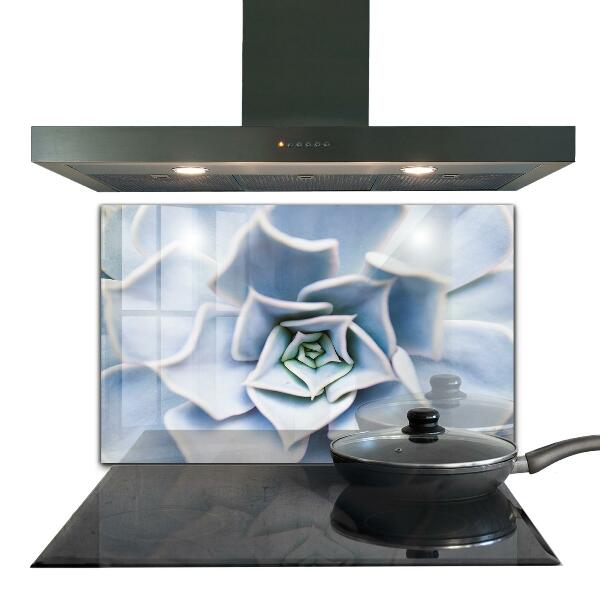 Panou perete bucătărie Cactus suculent