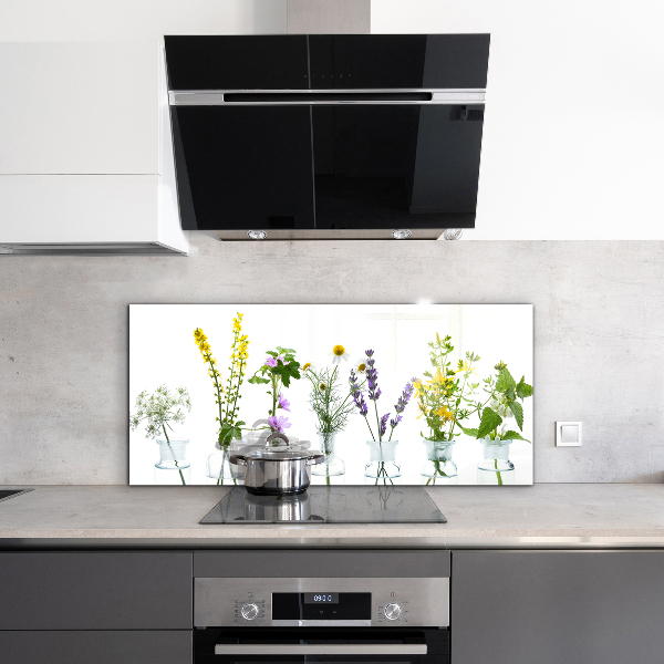 Panou perete bucătărie Ierburi naturale de sănătate