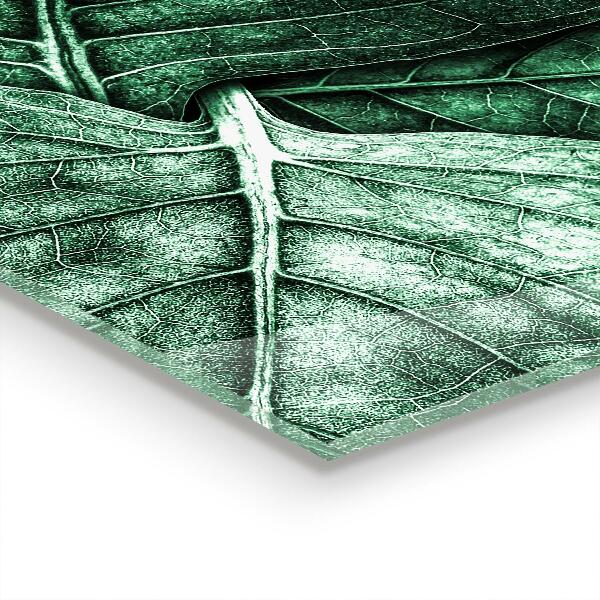 Sticlă bucătărie Detalii green leaf