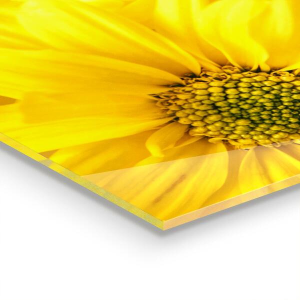 Sticlă bucătărie Flori galbene de vară