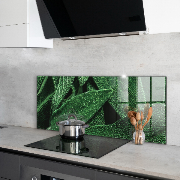 Panou sticlă bucătărie Frunze verzi după ploaie