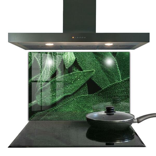 Panou sticlă bucătărie Frunze verzi după ploaie