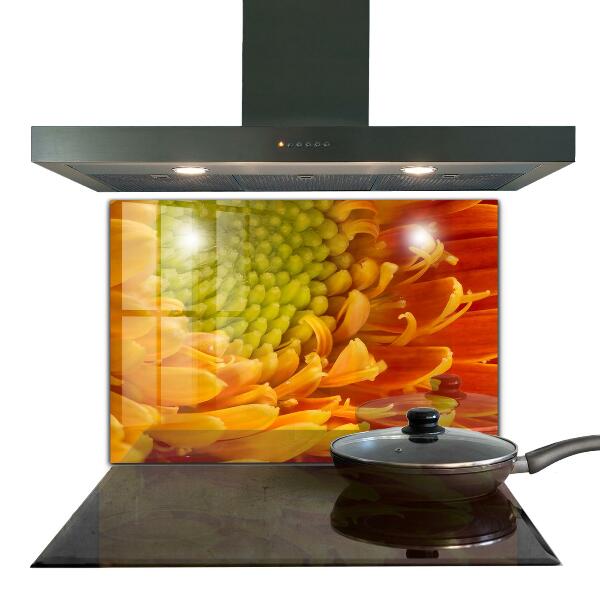 Panou sticlă bucătărie Flori de gerbera portocaliu