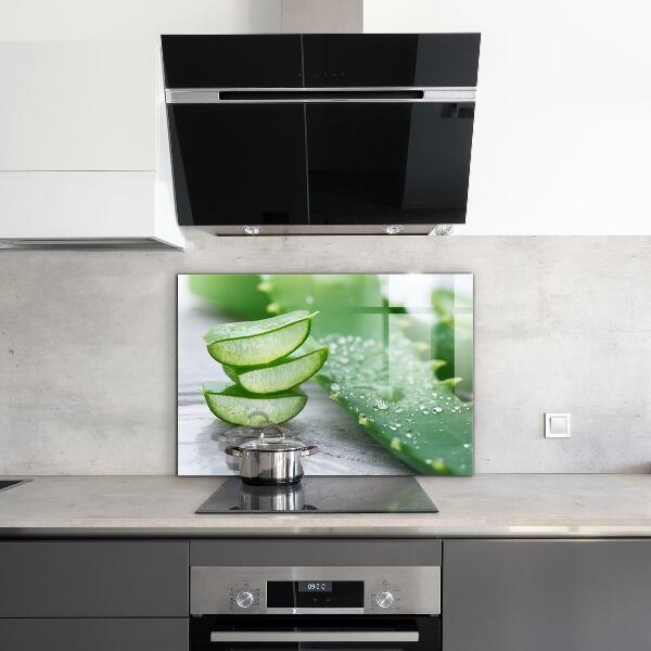 Panou sticlă bucătărie Aloe aloe vera plant