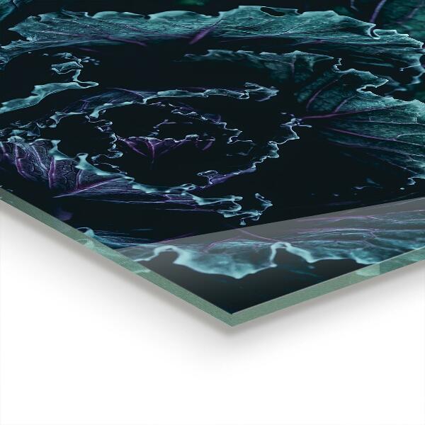 Panou sticlă bucătărie Frunze de varză verde închis