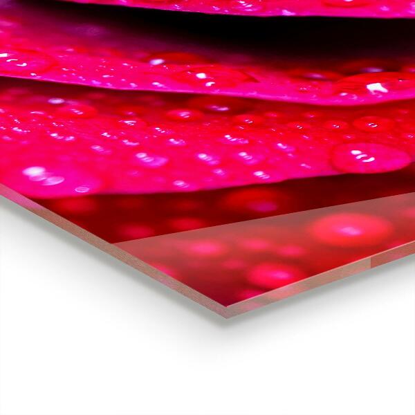 Panou sticlă bucătărie Trandafir simbol al iubirii