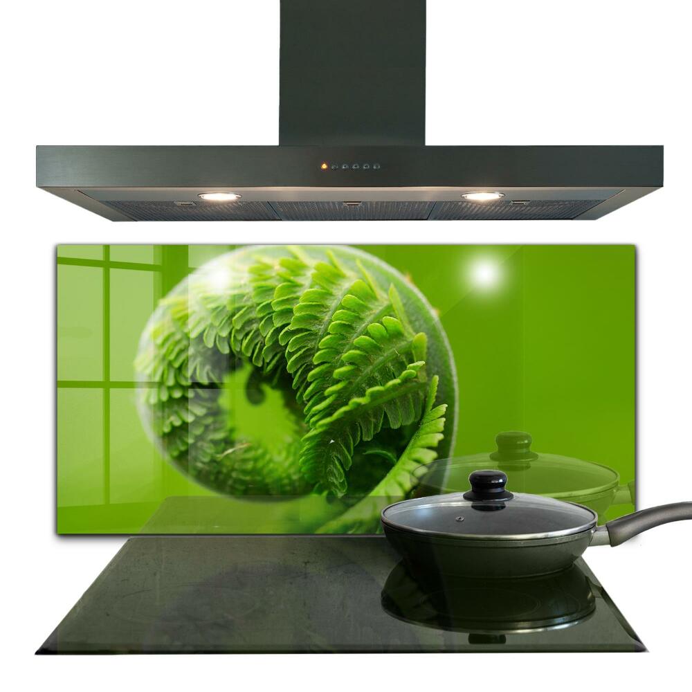 Panou sticlă bucătărie Frunză de ferigă verde