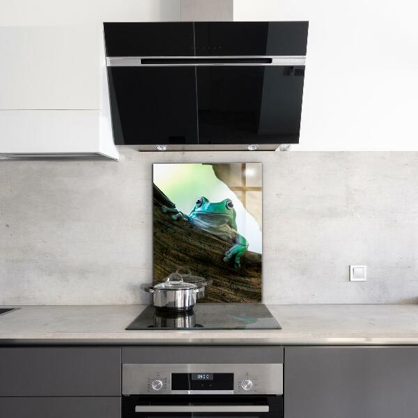 Sticlă bucătărie Broasca curios pe o frunză