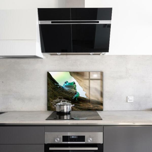 Sticlă bucătărie Broasca curios pe o frunză