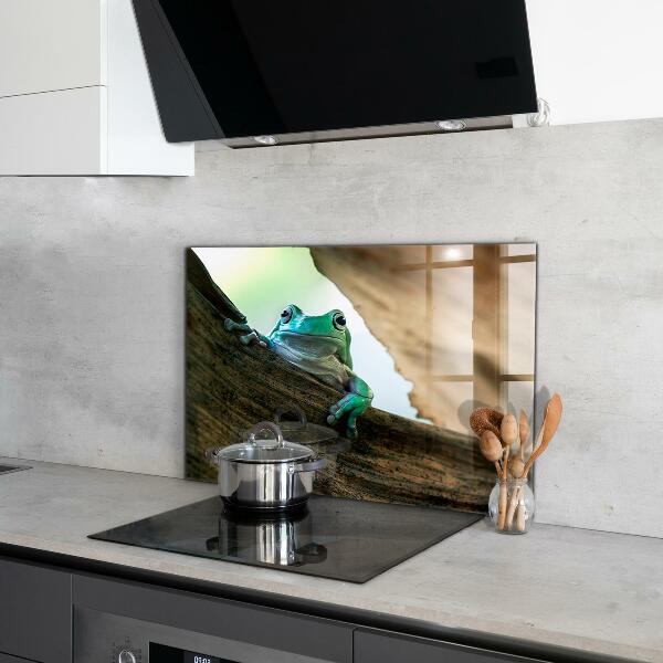 Sticlă bucătărie Broasca curios pe o frunză