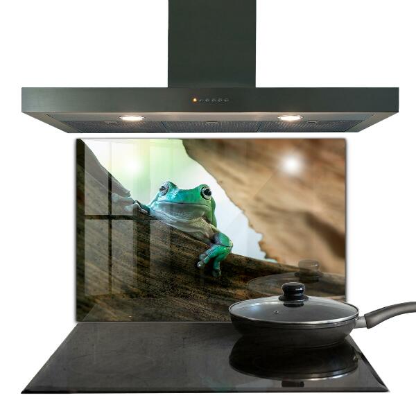 Sticlă bucătărie Broasca curios pe o frunză