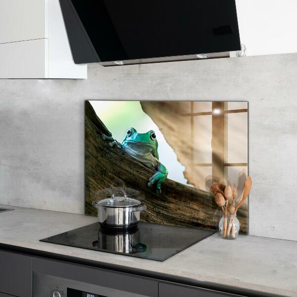 Sticlă bucătărie Broasca curios pe o frunză