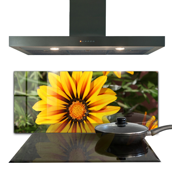 Panou sticlă bucătărie Floare galbenă în luncă