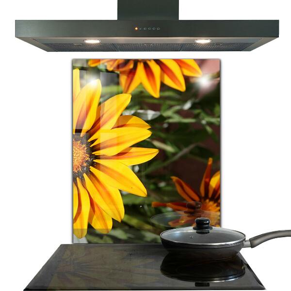 Panou sticlă bucătărie Floare galbenă în luncă