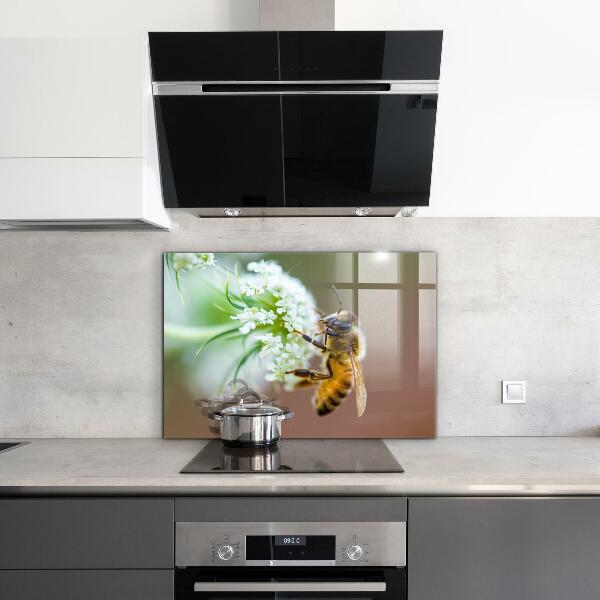 Sticlă bucătărie Albine care colectează polen