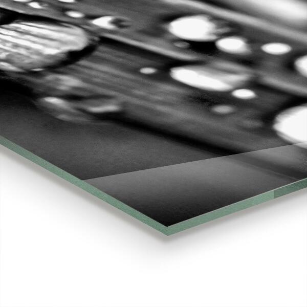 Panou sticlă bucătărie Leaf rosa alb-negru