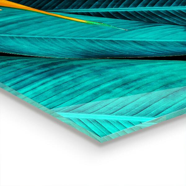 Panou sticlă bucătărie Floare tropicală exotică