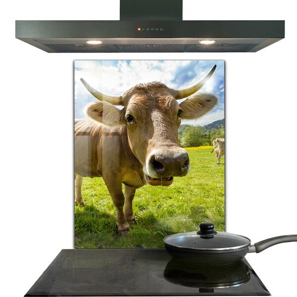 Sticlă bucătărie Clima rurală krowa pole