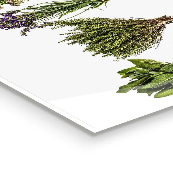 Sticlă bucătărie Ierburi uscate puterea naturii